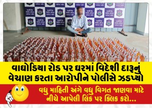 વાઘોડિયા રોડ પર ઘરમાં વિદેશી દારૂનું વેચાણ કરતા આરોપીને પોલીસે ઝડપ્યો