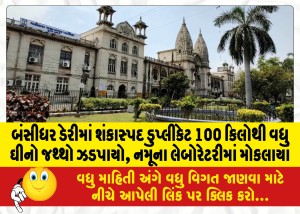 બંસીધર ડેરીમાંથી શંકાસ્પદ ડુપ્લીકેટ 100 કિલોથી વધુ ઘીનો જથ્થો ઝડપાયો, નમૂના લેબોરેટરીમાં મોકલાયાં