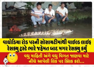 વાઘોડિયા રોડ પરની સોસાયટીમાંથી વાઇલ્ડ લાઇફ રેસક્યુ ટ્રસ્ટે ભારે જહેમત બાદ મગર રેસક્યુ કર્યું