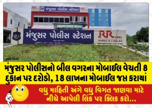 મંજુસર પોલીસનો બીલ વગરના મોબાઈલ વેચતી 8 દુકાન પર દરોડો, 18 લાખના મોબાઈલ જપ્ત કરાયાં