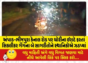 અંપાડ-ભીમપુરા કેનાલ રોડ પર ચોરીના ઇરાદે ફરતાં સિકલીકર ગેંગના બે સાગરીતોને સ્થાનિકોએ ઝડપ્યાં