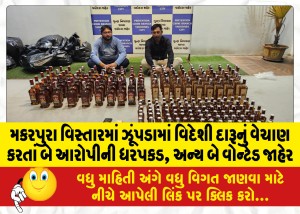મકરપુરા વિસ્તારમાં ઝૂંપડામાં વિદેશી દારૂનું વેચાણ કરતાં બે આરોપીની ધરપકડ, અન્ય બે વોન્ટેડ જાહેર