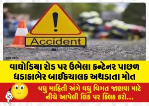 વાઘોડિયા રોડ પર ઉભેલા કન્ટેનર પાછળ ધડાકાભેર બાઈકચાલક અથડાતા મોત