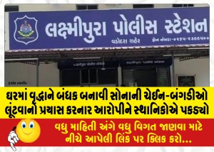 ઘરમાં વૃદ્ધાને બંધક બનાવી સોનાની ચેઈન-બંગડીઓ લૂંટવાનો પ્રયાસ કરનાર આરોપીને સ્થાનિકોએ પકડ્યો