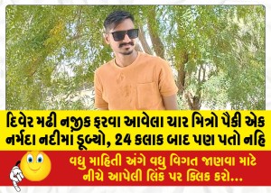 દિવેર મઢી નજીક ફરવા આવેલા ચાર મિત્રો પૈકી એક નર્મદા નદીમાં ડૂબ્યો, 24 કલાક બાદ પણ પતો નહિ