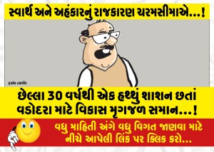 છેલ્લા 30 વર્ષથી એક હથ્થું શાશન છતાં વડોદરા માટે વિકાસ મૃગજળ સમાન...!