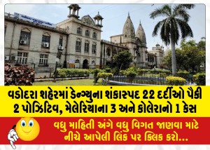 વડોદરા શહેરમાં ડેન્ગ્યુના શંકાસ્પદ 22 દર્દીઓ પૈકી 2 પોઝિટિવ, મેલેરિયાના 3 અને કોલેરાનો 1 કેસ