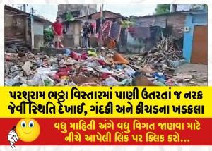 પરશુરામ ભઠ્ઠા વિસ્તારમાં પાણી ઉતરતાં જ નરક જેવી સ્થિતિ દેખાઈ, ગંદકી અને કીચડના ખડકલા