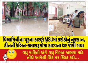 વિશ્વામિત્રીના પૂરના કારણે MSUમાં કરોડોનું નુકસાન, ડીનની કેબિન-ક્લાસરૂમોમાં કાદવના થર જામી ગયા
