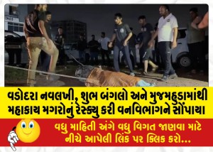 વડોદરા નવલખી, શુભ બંગલો અને મુજમહુડામાંથી મહાકાય મગરોનું રેસ્ક્યુ કરી વનવિભાગને સોંપાયા