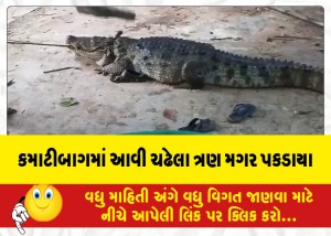 કમાટીબાગમાં આવી ચઢેલા ત્રણ મગર પકડાયા
