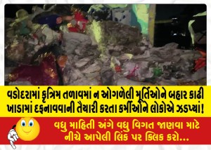 વડોદરામાં કૃત્રિમ તળાવમાં ન ઓગળેલી મૂર્તિઓને બહાર કાઢી ખાડામાં દફનાવવાની તૈયારી કરતા કર્મીઓને લોકોએ ઝડપ્યાં!