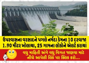 ઉપરવાસના વરસાદને પગલે નર્મદા ડેમના 10 દરવાજા 1.90 મીટર ખોલાયા, 25 ગામના લોકોને એલર્ટ કરાયાં