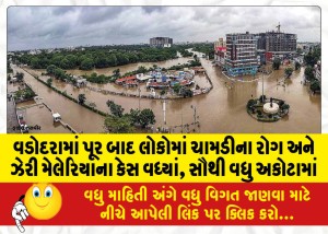 વડોદરામાં પૂર બાદ લોકોમાં ચામડીના રોગ અને ઝેરી મેલેરિયાના કેસ વધ્યાં, સૌથી વધુ અકોટામાં