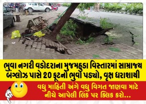 ભુવા નગરી વડોદરાના મુજમહુડા વિસ્તારમાં સામ્રાજ્ય બંગ્લોઝ પાસે 20 ફૂટનો ભુવો પડ્યો, વૃક્ષ ધરાશાયી
