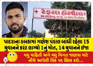 પાદરાના ડબકામાં ગણેશ પંડાલ બાંધી રહેલા 15 યુવાનને કરંટ લાગ્યો: 1નું મોત, 14 યુવાનને ઇજા