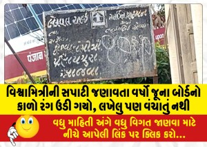 વિશ્વામિત્રીની સપાટી જણાવતા વર્ષો જૂના બોર્ડનો કાળો રંગ ઉડી ગયો, લખેલુ પણ વંચાતું નથી