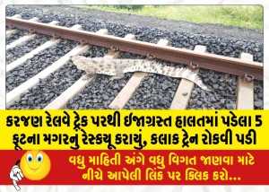 કરજણ રેલવે ટ્રેક પરથી ઇજાગ્રસ્ત હાલતમાં પડેલા 5 ફૂટના મગરનું રેસ્કયૂ કરાયું, કલાક ટ્રેન રોકવી પડી