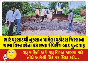 ભારે વરસાદથી નુકસાન પામેલા વડોદરા જિલ્લાના ગ્રામ્ય વિસ્તારોના 48 રસ્તા રીપેરીંગ બાદ પુનઃ શરૂ