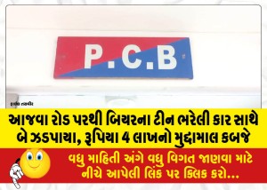 આજવા રોડ પરથી બિયરના ટીન ભરેલી કાર સાથે બે ઝડપાયા, રૂપિયા 4 લાખનો મુદ્દામાલ કબજે