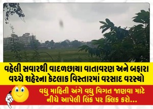 વહેલી સવારથી વાદળછાયા વાતાવરણ અને બફારા વચ્ચે શહેરના કેટલાક વિસ્તારમાં વરસાદ વરસ્યો