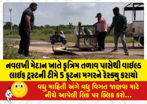 નવલખી મેદાન ખાતે કૃત્રિમ તળાવ પાસેથી વાઇલ્ડ લાઇફ ટ્રસ્ટની ટીમે 5 ફૂટના મગરને રેસ્ક્યુ કરાયો