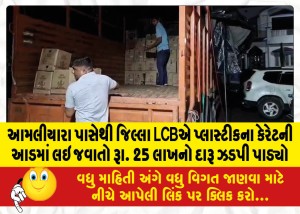આમલીયારા પાસેથી જિલ્લા LCBએ પ્લાસ્ટીકના કેરેટની આડમાં લઇ જવાતો 25 લાખનો દારૂ ઝડપી પાડ્યો