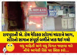 રાવપુરાની એ. રોય મેડિકલ સ્ટોરમાં મધરાત્રે આગ, સ્ટોરનો સામાન સંપૂર્ણ બળીને ખાક થઇ ગયો