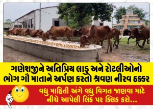 ગણેશજીને અતિપ્રિય લાડુ અને રોટલીઓનો ભોગ ગૌ માતાને અર્પણ કરતો ‘શ્રવણ’ નીરવ ઠક્કર