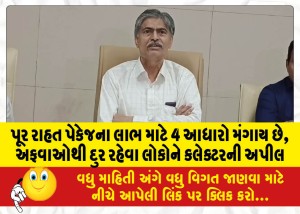 પૂર રાહત પેકેજના લાભ માટે 4 આધારો મંગાય છે, અફવાઓથી દુર રહેવા લોકોને કલેક્ટરની અપીલ