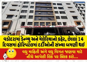 વડોદરામાં ડેન્ગ્યુ અને મેલેરિયાનો કહેર, છેલ્લાં 14 દિવસમાં હોસ્પિટલમાં દર્દીઓની સંખ્યા બમણી થઇ