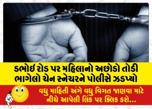 ડભોઇ રોડ પર મહિલાનો અછોડો તોડી ભાગેલો ચેન સ્નેચરને પોલીસે ઝડપ્યો