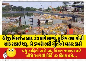 શ્રીજી વિસર્જન બાદ તંત્ર કામે લાગ્યું, કૃત્રિમ તળાવોની સાફ સફાઈ શરૂ, બે ડમ્પરો ભરી મૂર્તિઓ બહાર કાઢી