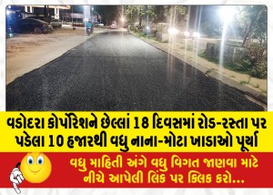 વડોદરા કોર્પોરેશને છેલ્લાં 18 દિવસમાં રોડ-રસ્તા પર પડેલા 10 હજારથી વધુ નાના-મોટા ખાડાઓ પૂર્યા