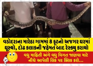 વડોદરાના મારેઠા ગામમાં 8 ફૂટનો અજગર ઘરમાં ઘૂસ્યો, દોઢ કલાકની જહેમત બાદ રેસ્ક્યુ કરાયો