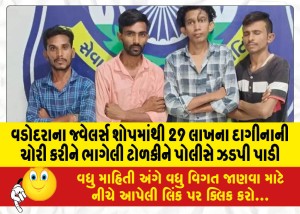 વડોદરાના જ્વેલર્સ શોપમાંથી 29 લાખના દાગીનાની ચોરી કરીને ભાગેલી ટોળકીને પોલીસે ઝડપી પાડી