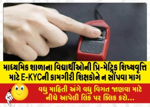 માધ્યમિક શાળાના વિદ્યાર્થીઓની પ્રિ-મેટ્રિક શિષ્યવૃત્તિ માટે E-KYCની કામગીરી શિક્ષકોને ન સોંપવા માગ