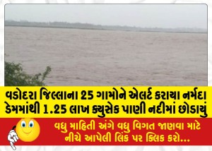 વડોદરા જિલ્લાના 25 ગામોને એલર્ટ કરાયા: નર્મદા ડેમમાંથી 1.25 લાખ ક્યુસેક પાણી નદીમાં છોડાયું