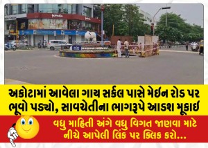 અકોટામાં આવેલા ગાય સર્કલ પાસે મેઇન રોડ પર ભૂવો પડ્યો, સાવચેતીના ભાગરૂપે આડશ મૂકાઇ