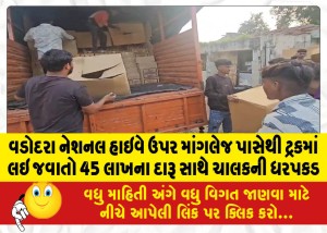 વડોદરા નેશનલ હાઇવે ઉપર માંગલેજ પાસેથી ટ્રકમાં લઇ જવાતો 45 લાખના દારૂ સાથે ચાલકની ધરપકડ