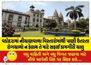 વડોદરામાં નીચાણવાળા વિસ્તારોમાંથી પાણી ઉતરતા રોગચાળો ન ફેલાય તે માટે સફાઈ કામગીરી ચાલુ