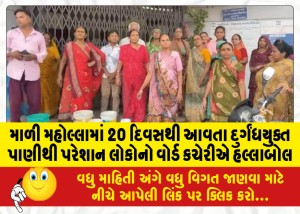 માળી મહોલ્લામાં 20 દિવસથી આવતા દુર્ગંધયુક્ત પાણીથી પરેશાન લોકોનો વોર્ડ કચેરીએ હલ્લાબોલ