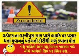 વડોદરાના લક્ષ્મીપુરા ગામ પાસે બાઈક પર પસાર થતાં યુવાનનું પતંગની દોરીથી ગળું કપાતા મોત