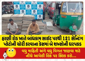 હરણી રોડ ખાતે બાંધકામ સાઇટ પરથી 121 સેન્ટિંગ પ્લેટોની ચોરી કરવાના કેસમાં બે શખ્સોની ધરપકડ