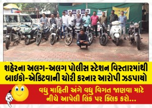 શહેરના અલગ-અલગ પોલીસ સ્ટેશન વિસ્તારમાંથી બાઇકો-એક્ટિવાની ચોરી કરનાર આરોપી ઝડપાયો