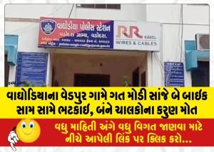 વાઘોડિયાના વેડપુર ગામે ગત મોડી સાંજે બે બાઇક સામ સામે ભટકાઇ, બંને ચાલકોના કરુણ મોત