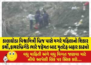 કાલાઘોડા વિશ્વામિત્રી બ્રિજ પાસે મગરે મહિલાનો શિકાર કર્યો,ફાયરબ્રિગેડે ભારે જહેમત બાદ મૃતદેહ બહાર કાઢ્યો