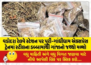 વડોદરા રેલવે સ્ટેશન પર પુરી-ગાંધીધામ એક્સપ્રેસ ટ્રેનમાં સ્ટીલના ડબ્બામાંથી ગાંજાનો જથ્થો મળ્યો