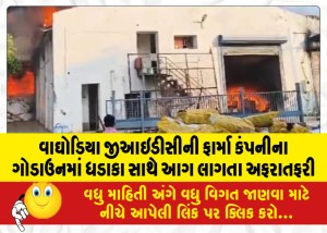 વાઘોડિયા જીઆઇડીસીની ફાર્મા કંપનીના ગોડાઉનમાં ધડાકા સાથે પ્રવાહી મટિરિયલ સળગતા આગ લાગતા અફરાતફરી