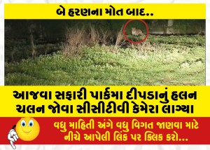 આજવા સફારી પાર્કમા દીપડાનું હલન ચલન જોવા સીસીટીવી કેમેરા લાગ્યા